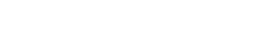 Vigorous Software Inc.